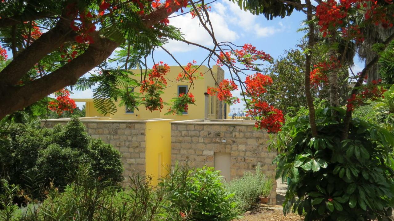 Artsea Studio Apartment With Sea View Ein Hod Bagian luar foto